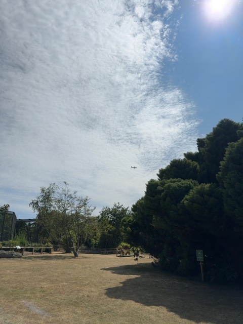 Sighting photo of G-EZOA