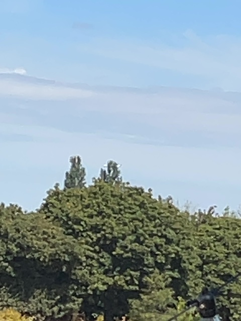 Sighting photo of EI-IHM