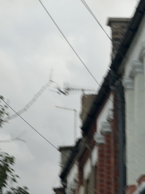 Sighting photo of G-ZBKG