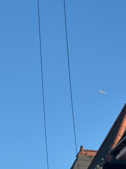 Sighting photo of D-AEAQ