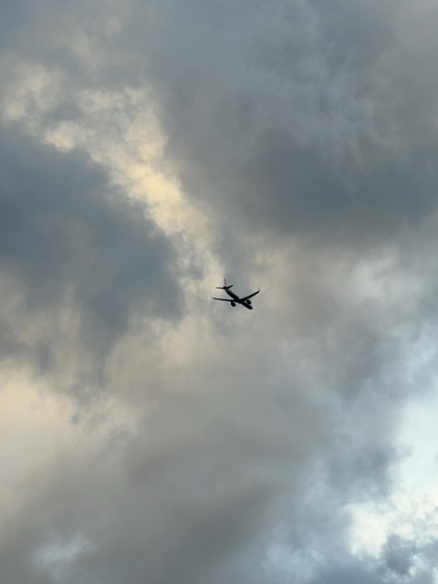 Sighting photo of G-TNEI