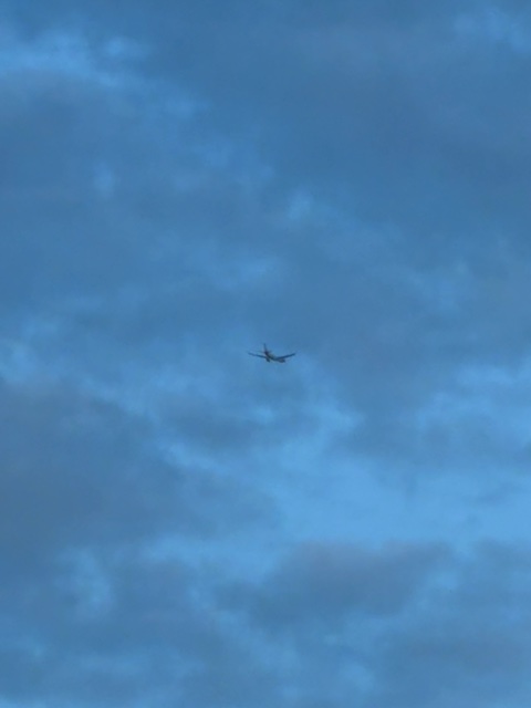 Sighting photo of B-1042