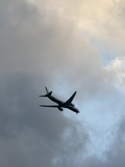 Sighting photo of B-16732