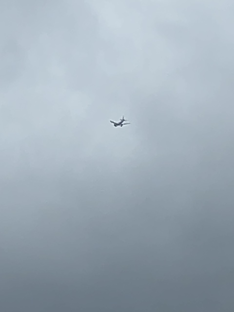 Sighting photo of TC-SOZ