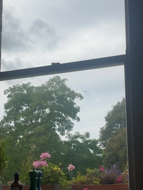 Sighting photo of EI-IKO
