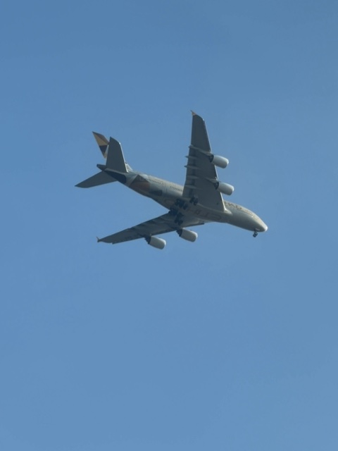 Sighting photo of A6-APD