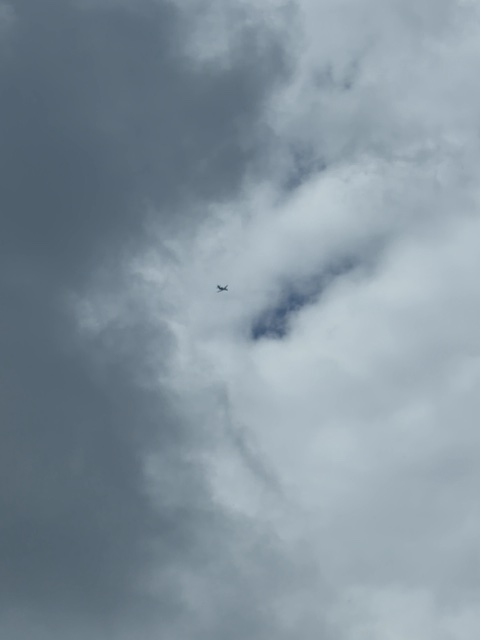 Sighting photo of N328N
