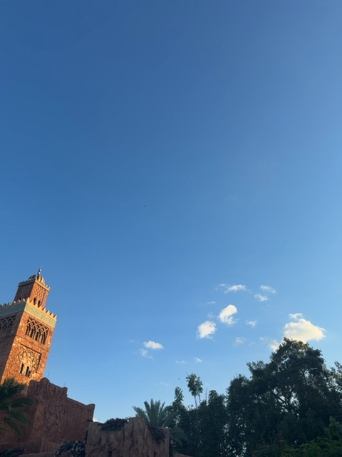 Sighting photo of N8869L