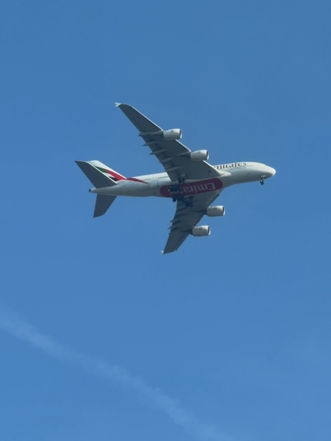 Sighting photo of A6-EUG