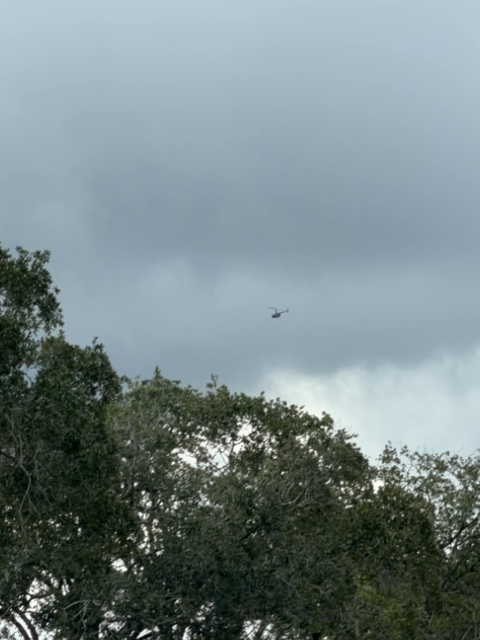 Sighting photo of N73PT