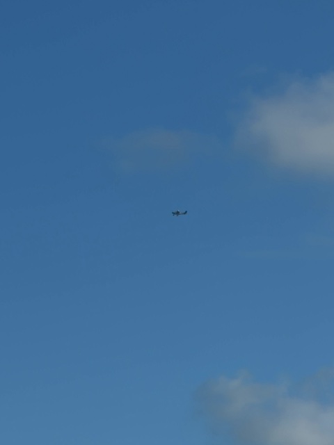 Sighting photo of N986JT