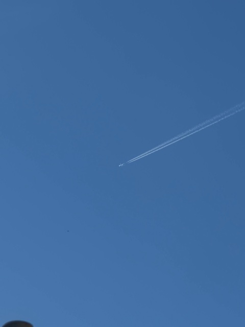 Sighting photo of D-AIXJ