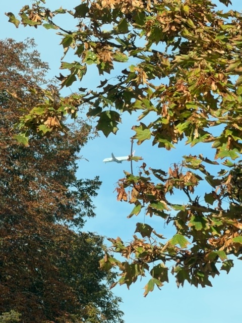 Sighting photo of N846AN
