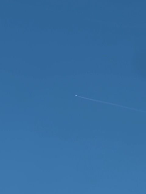 Sighting photo of TC-JSD