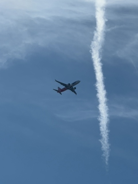 Sighting photo of SP-LVL