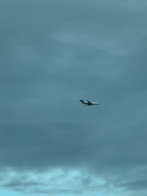 Sighting photo of N662FX