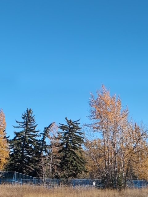Sighting photo of N358PW