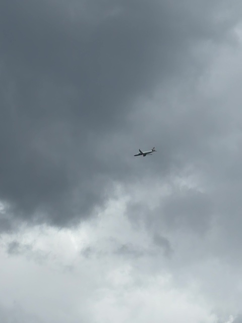 Sighting photo of G-TNEC