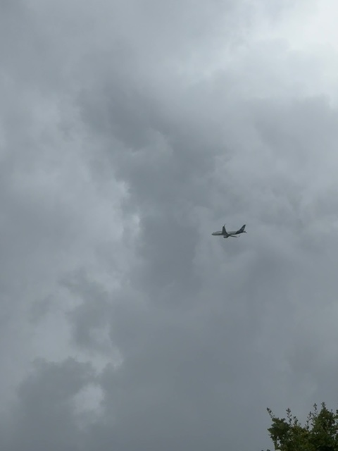 Sighting photo of D-AINW