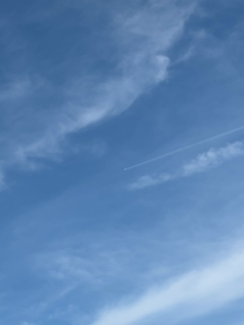 Sighting photo of N569FX