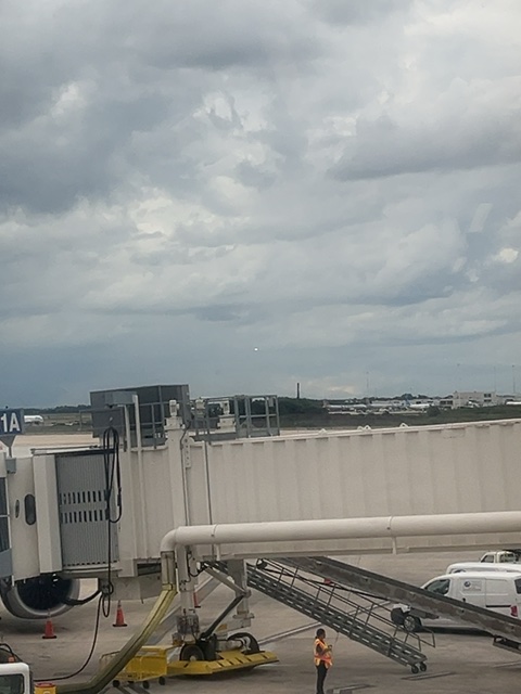 Sighting photo of N17593