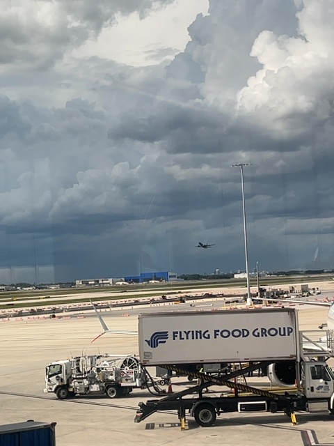 Sighting photo of N7833A