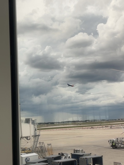 Sighting photo of N9030S