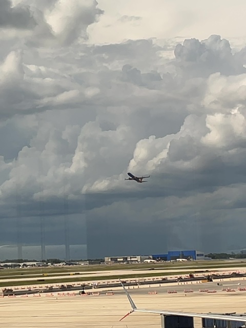 Sighting photo of XA-VLW