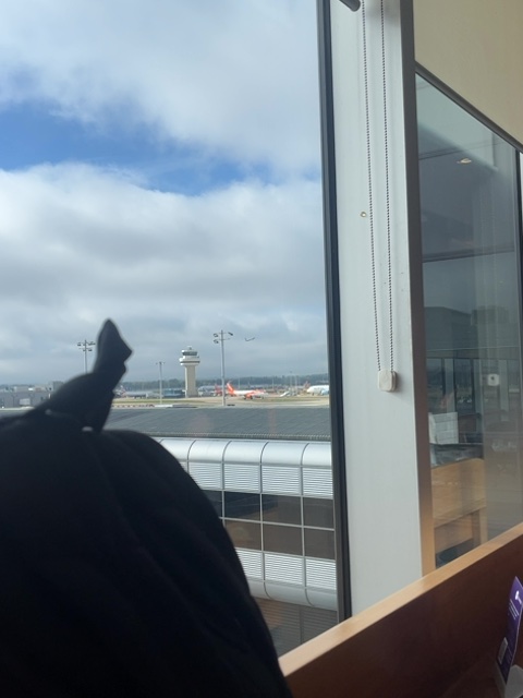 Sighting photo of SP-ESB