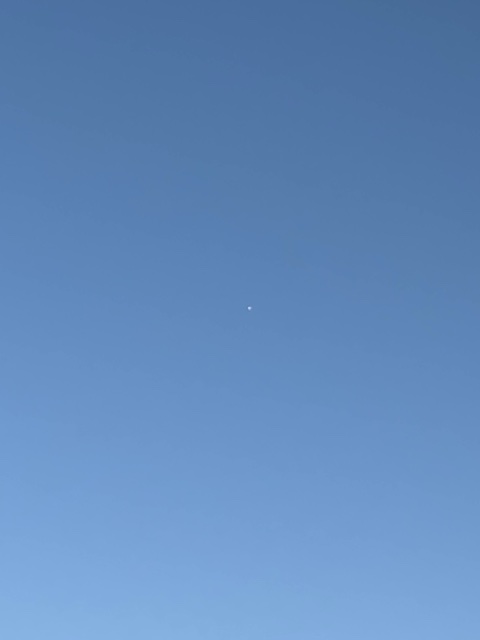 Sighting photo of SE-RTN