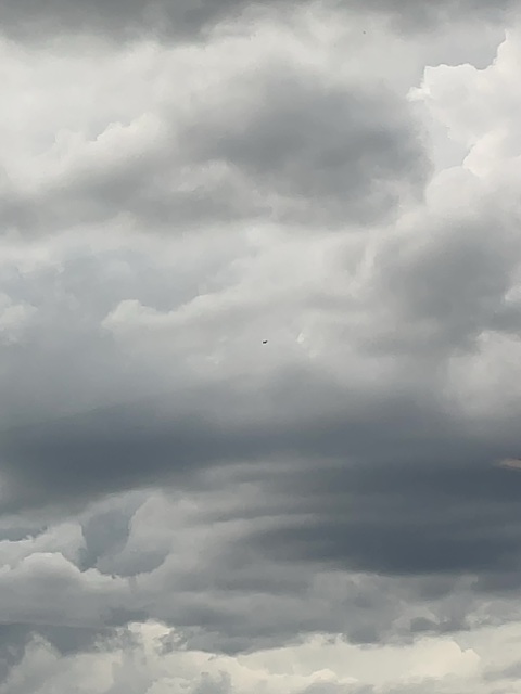 Sighting photo of N914PK