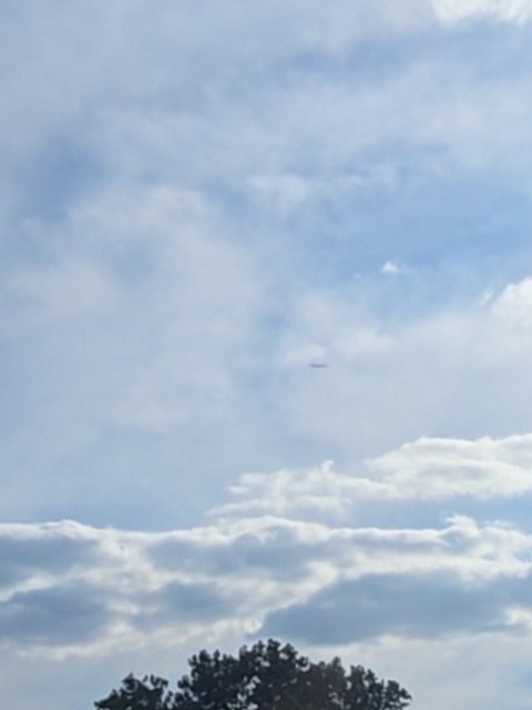 Sighting photo of EI-DLI