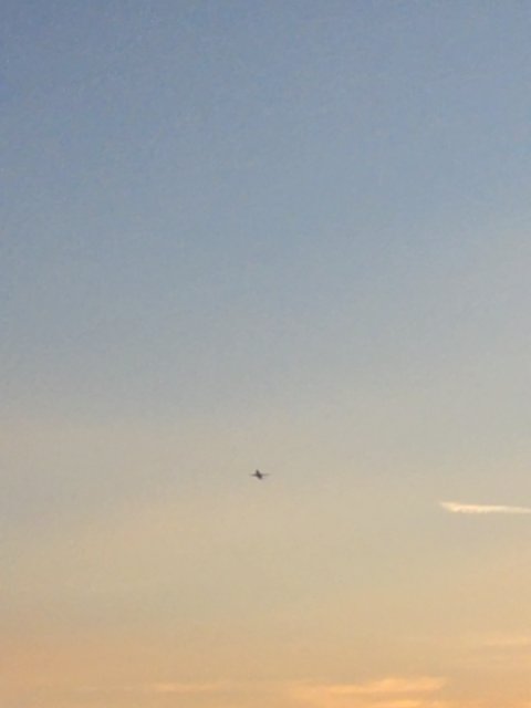 Sighting photo of JA794A