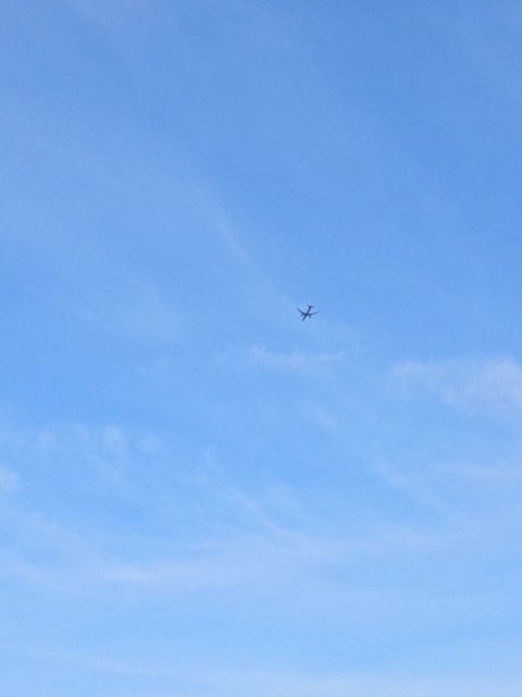 Sighting photo of VN-A863