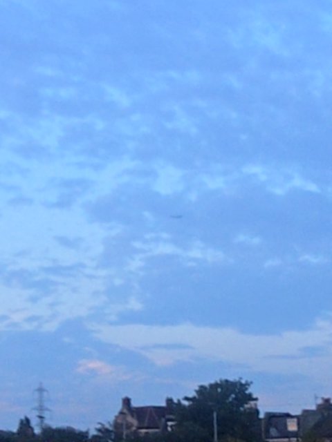 Sighting photo of B-1242