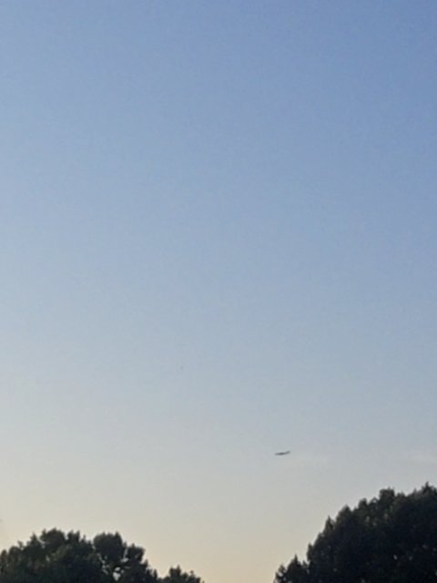 Sighting photo of G-TNEB