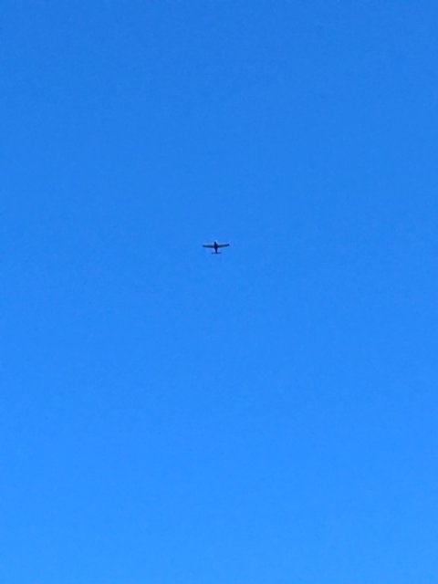 Sighting photo of G-OLEA