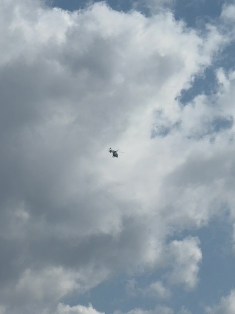 Sighting photo of G-LZZI