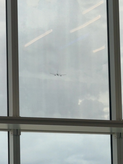 Sighting photo of N56859