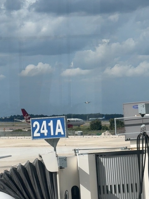 Sighting photo of XA-VLW