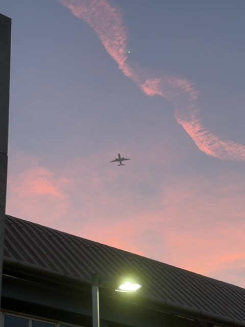 Sighting photo of N77022