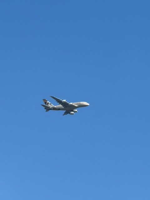 Sighting photo of A6-APD