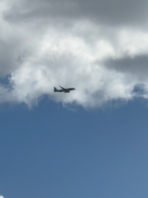 Sighting photo of EC-LUO