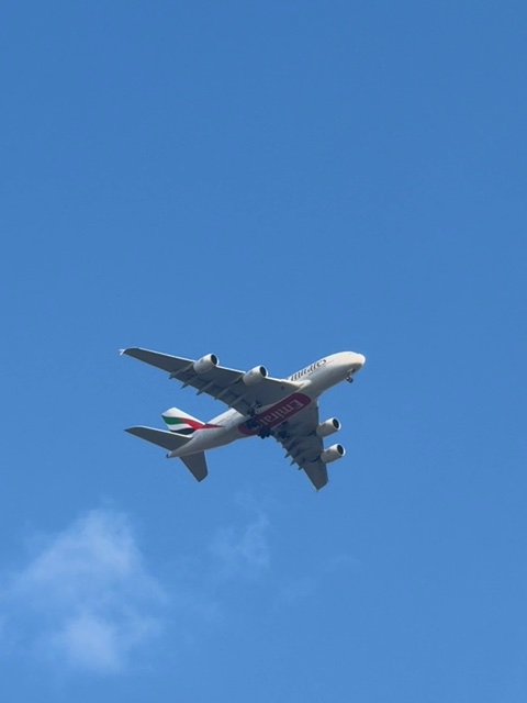 Sighting photo of A6-EUG