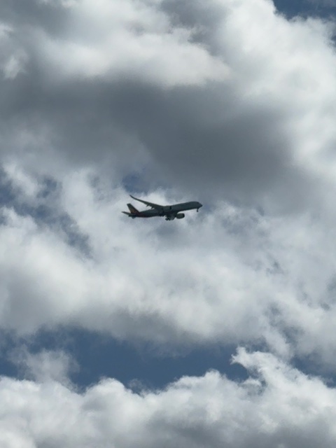 Sighting photo of HL8381