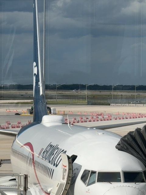 Sighting photo of N496LT