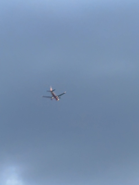 Sighting photo of D-AZMN